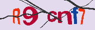 Kód CAPTCHA